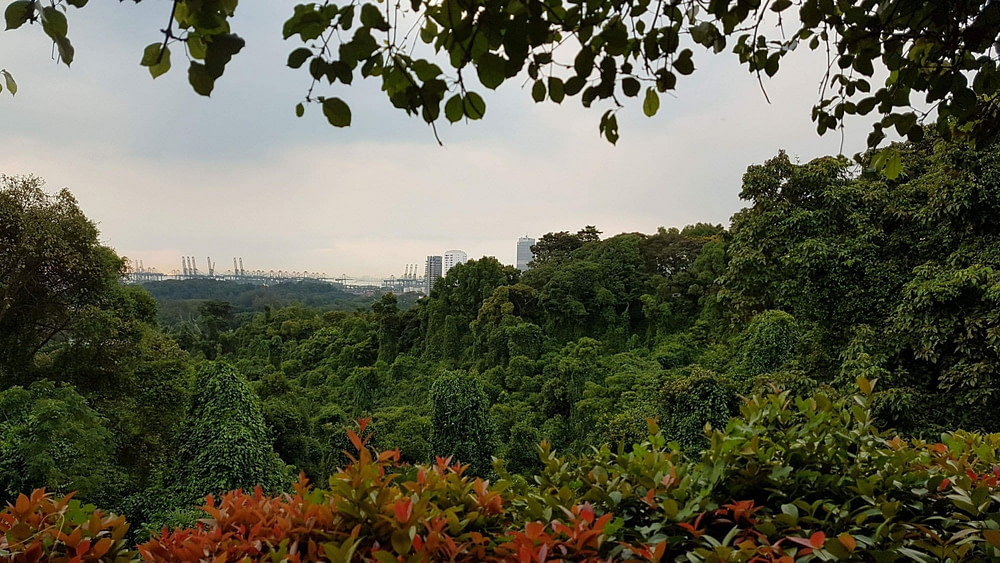 新加坡Anderson's Hill山景